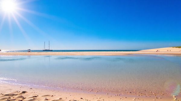 Top 5 campings pour des vacances mémorables à Oléron